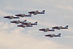 Snowbirds CT-114