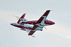 Snowbirds CT-114