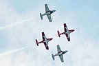 Snowbirds CT-114