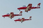 CF Snowbirds #1-3