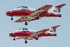 CF Snowbirds #8-9