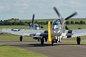 Mustangs lining up for action