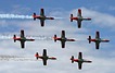 Patrulla Aguila formation display