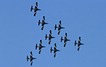 Frecce Tricolori nineship formation