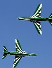 Saudi Hawks paired display