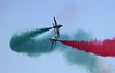 Saudi Hawks paired display