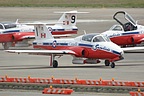 Canadian Snowbirds