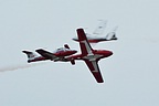 Canadian Snowbirds break