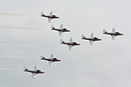 Canadian Snowbirds