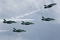 Saudi Hawks