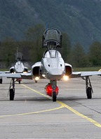 F-5E Tiger II J-3038 and J-3030