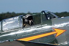 Yakovlev Yak-9 close-up of "Mini-Me"