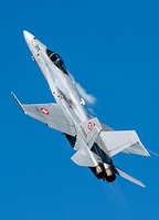 F/A-18C Hornet J-5005