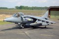 n05_harrier_06.JPG