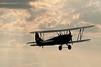 Polikarpov 2