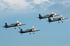 Flying Bulls aerobatic team