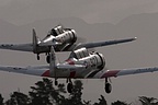 Yak-52 formation team