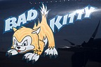 Historic Flight Foundation F7F Tigercat 6178 'Bad Kitty' 80483/MW