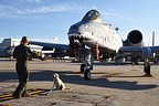 A-10 Thunderbolt II from Pope