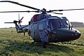 9 Regiment Army Air Corps Westland Lynx AH.7 XZ645 with the sun behind and on the airside of the crowdline