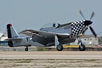 TF-51D Mustang 'Bum Steer' 