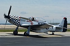 TF-51D Mustang 'Bum Steer' 