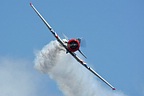 GEICO Skytypers T-6 Texan head-on