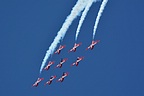 Canadian Snowbirds