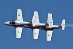 Canadian Snowbirds section