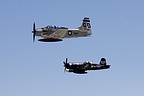 Collings Foundation Skyraider & Corsair