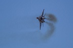 Polish Air Force MiG-29 Fulcrum Demo