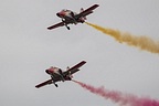 Patrulla Aguila