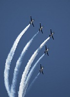 RNZAF Black Falcons display team