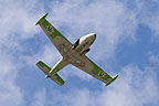 BAE 167 Strikemaster display