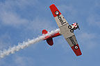 RNZAF Historical Flight T-6 display