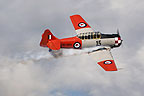 RNZAF Historical Flight T-6 display