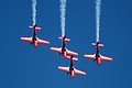 Royal Jordanian Falcons