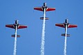 Royal Jordanian Falcons