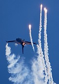 Belgian Air Force F-16AM Demo