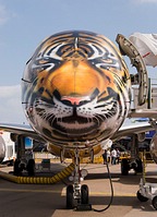 Embraer E190-E2 prototype Tiger