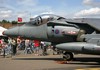 wad05_harrier_1.jpg