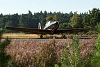 Just like years before at the Chipmeet, Chipmunks were present again