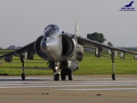 Harrier GR.7