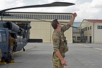 Flight commander performs the walk -round with a visual check of the aircraft