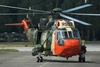 Belgian Sea King