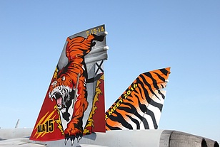 Close-up of the NTM 2016 markings on the Ala 15 F/A-18A+ Hornet's tail