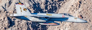 USN VFA-113 Stingers F/A-18E Super Hornet NA/300